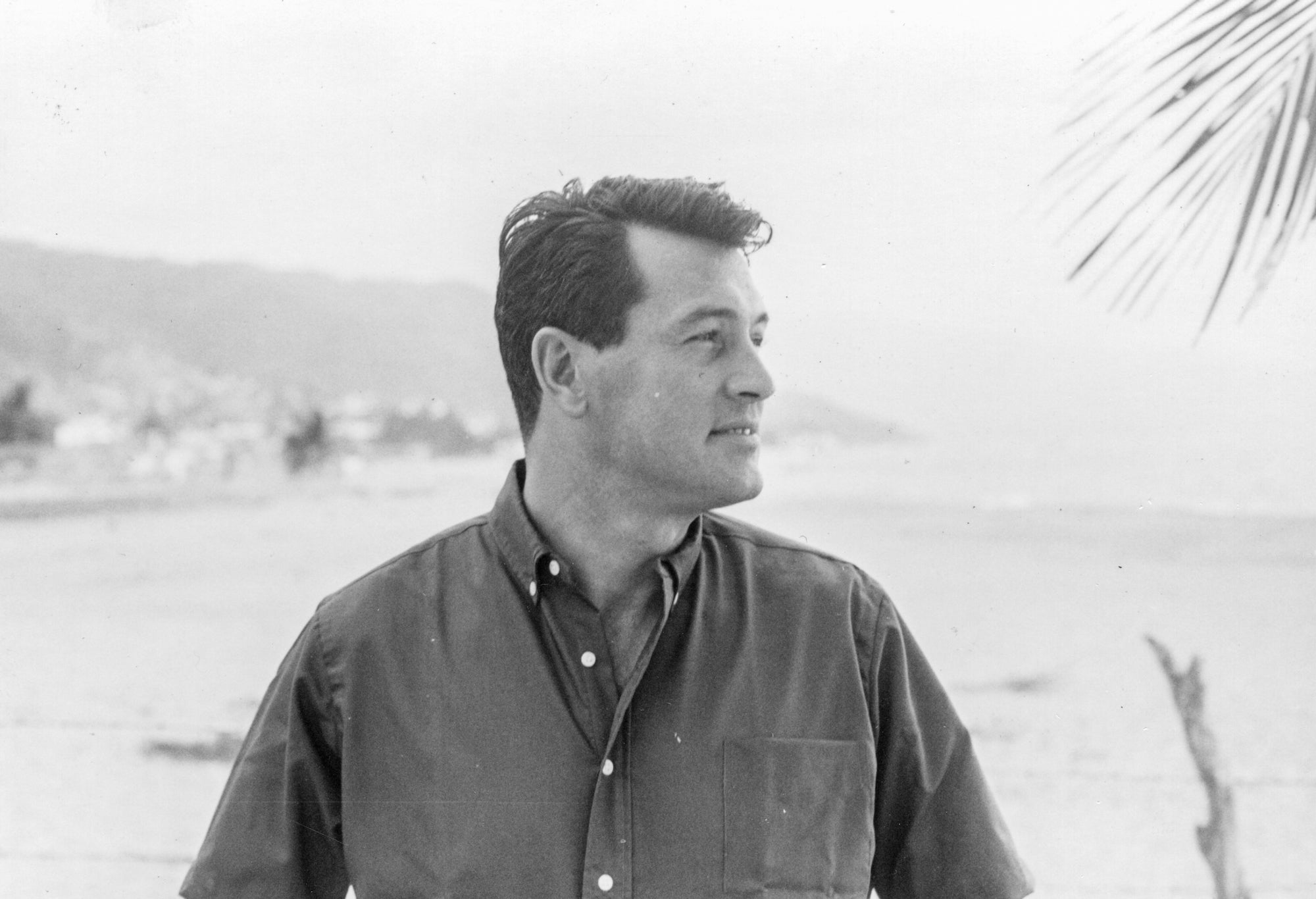 rock hudson in rock hudson all that heaven allowed