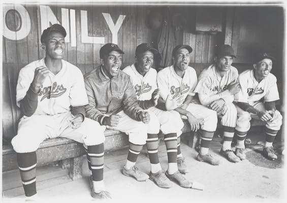 several black baseball players cheer teammates on in the league