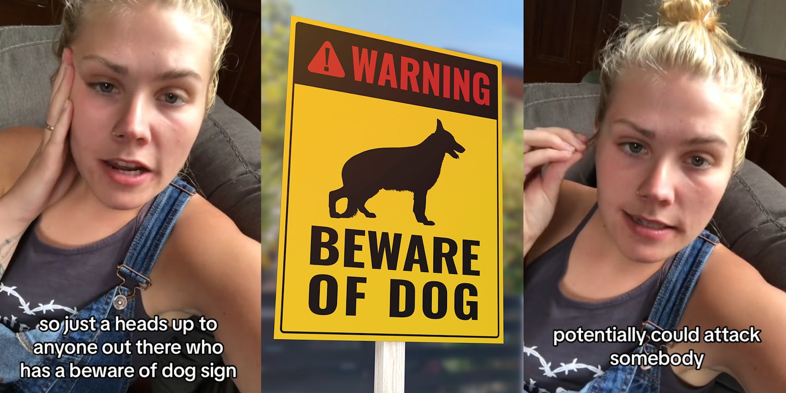 TikToker issues PSA to pet owners with 'Beware of Dog' signs