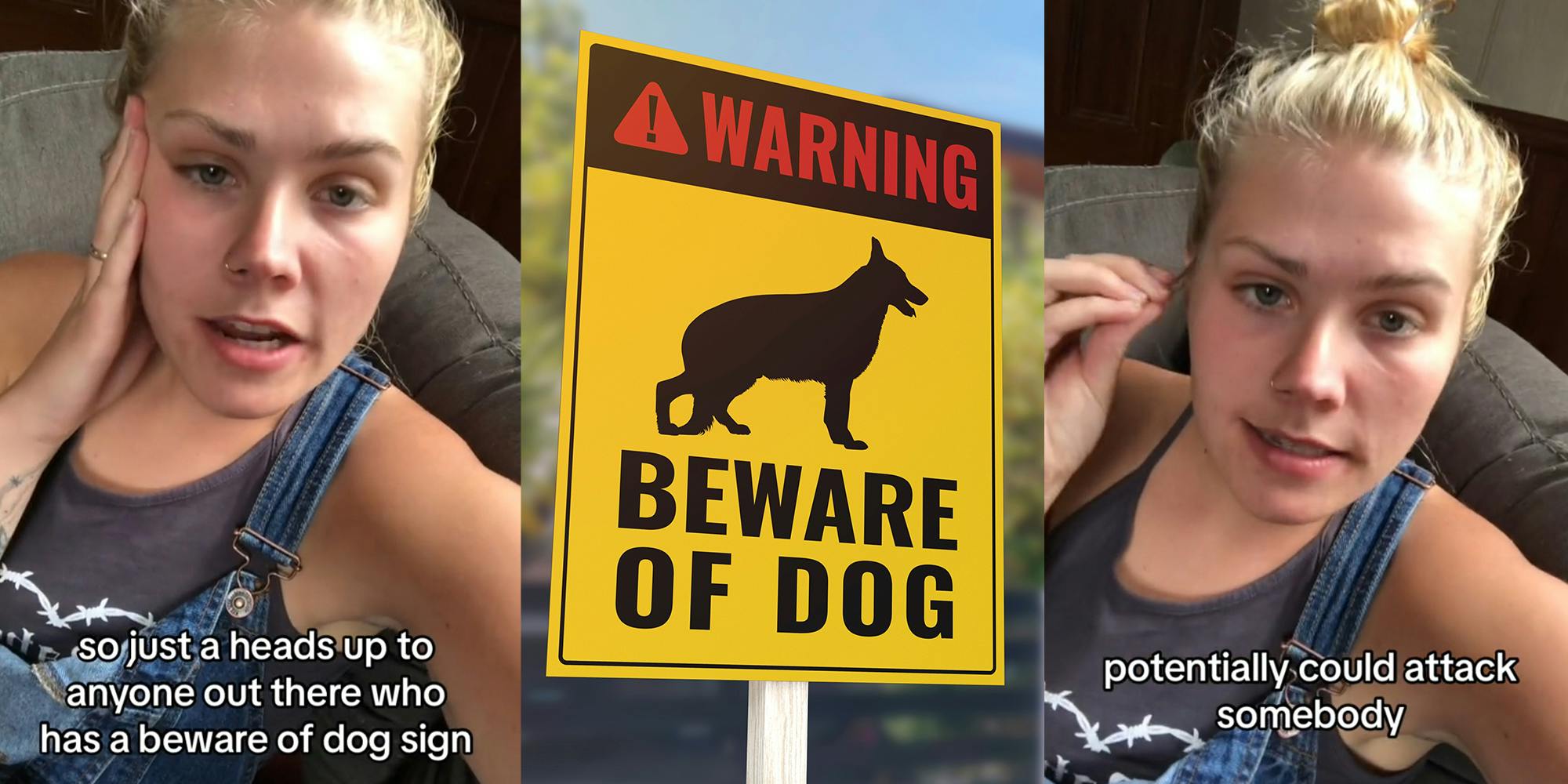 tiktoker-issues-psa-to-pet-owners-with-beware-of-dog-signs