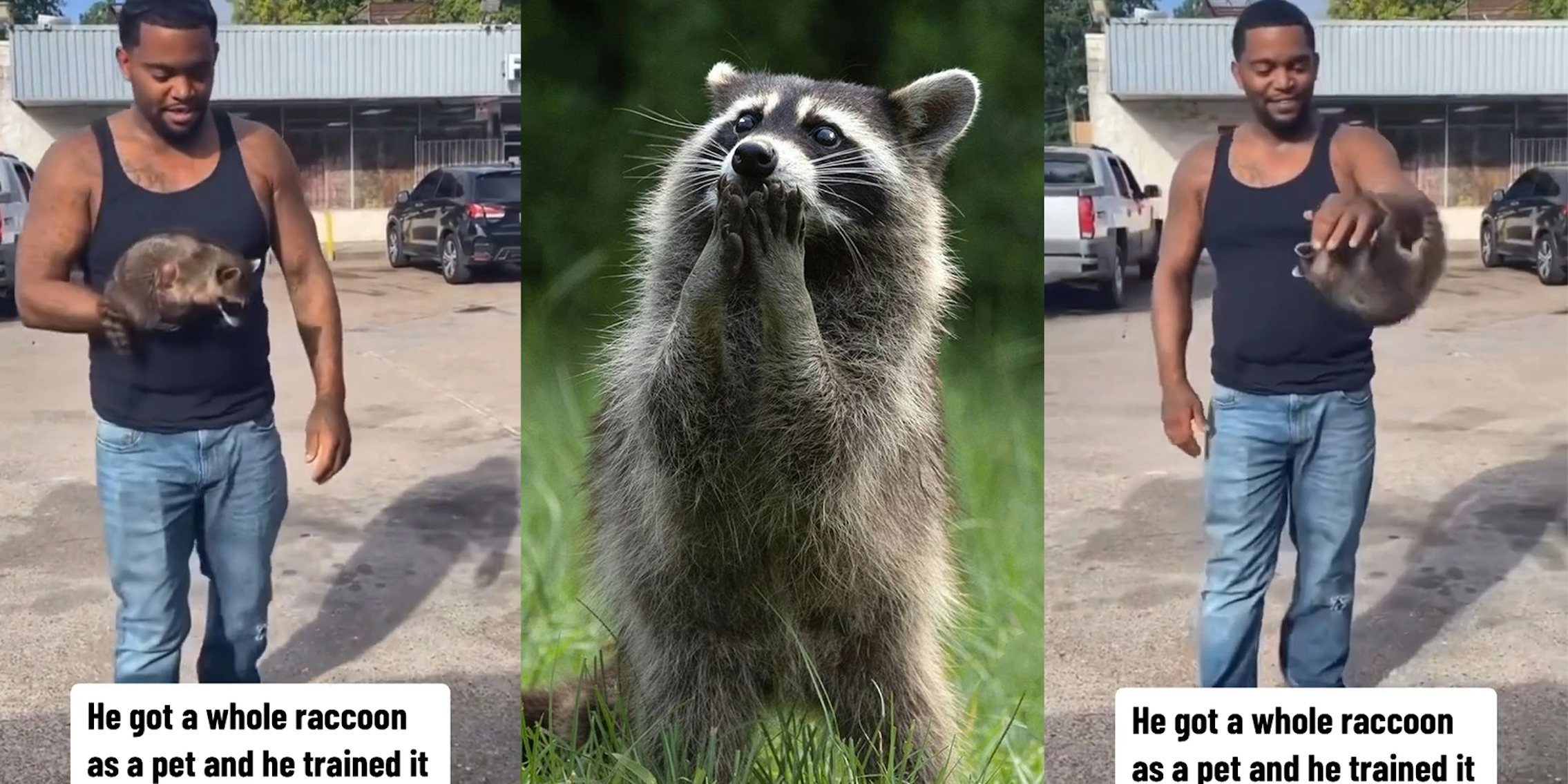 Houston man hangs with his pet raccoon in the parking lot