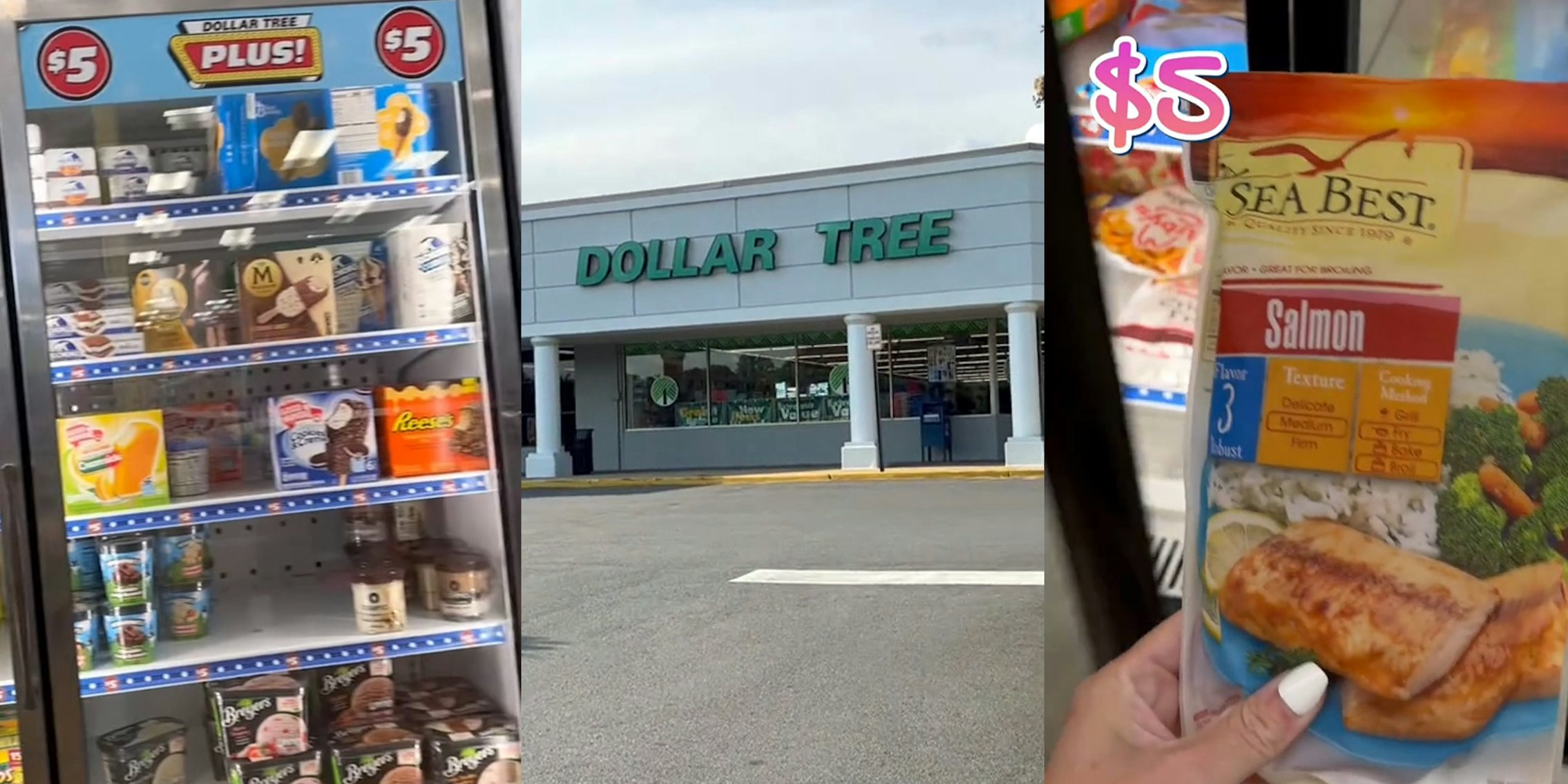 Dollar Tree with a plus section