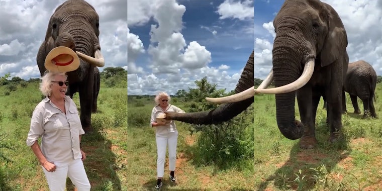 Elephant pretends to steal woman's hat before giving it back.