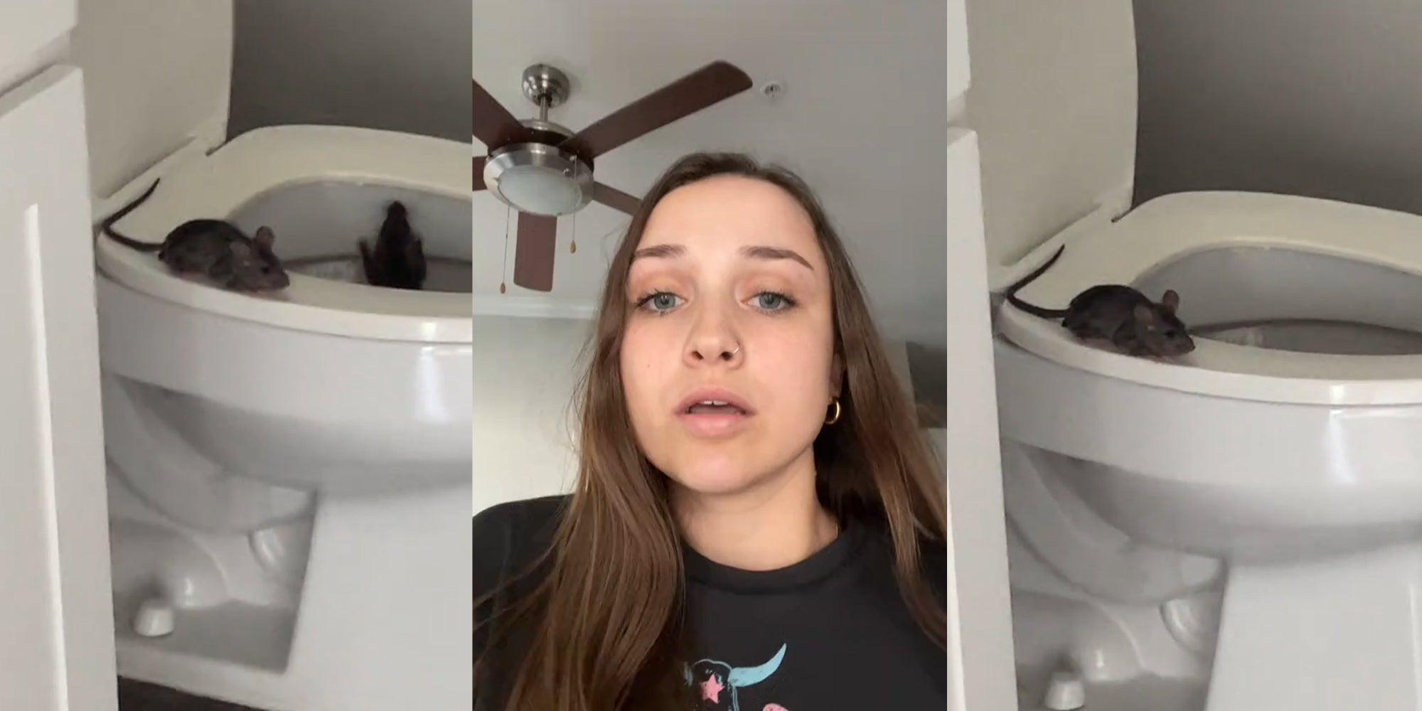 Tenant Finds 2 Rats in Toilet Right After Moving In