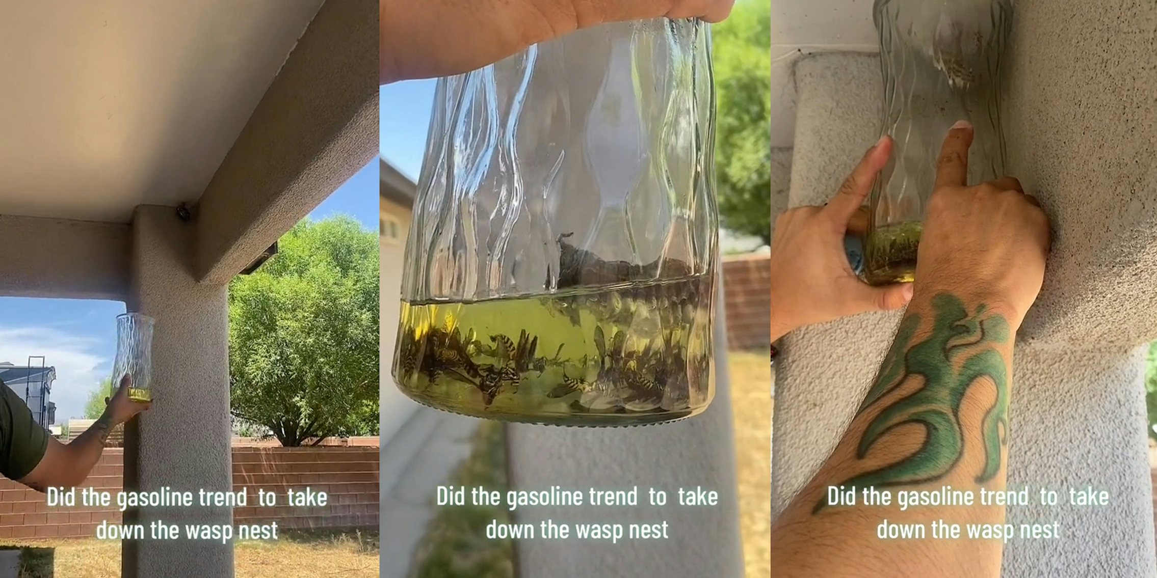 Woman uses gasoline hack to disperse wasp nest