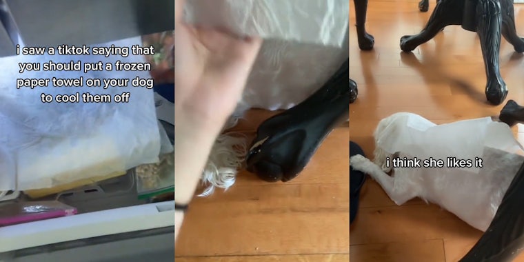 paper towel in freezer with caption 'i saw a tiktok saying that you should put a frozen paper towel on your dog to cool them off' (l_ hand placing frozen paper towel on dog laying on floor (c) dog laying on floor with frozen paper towel on back with caption 'i think she likes it' (r)
