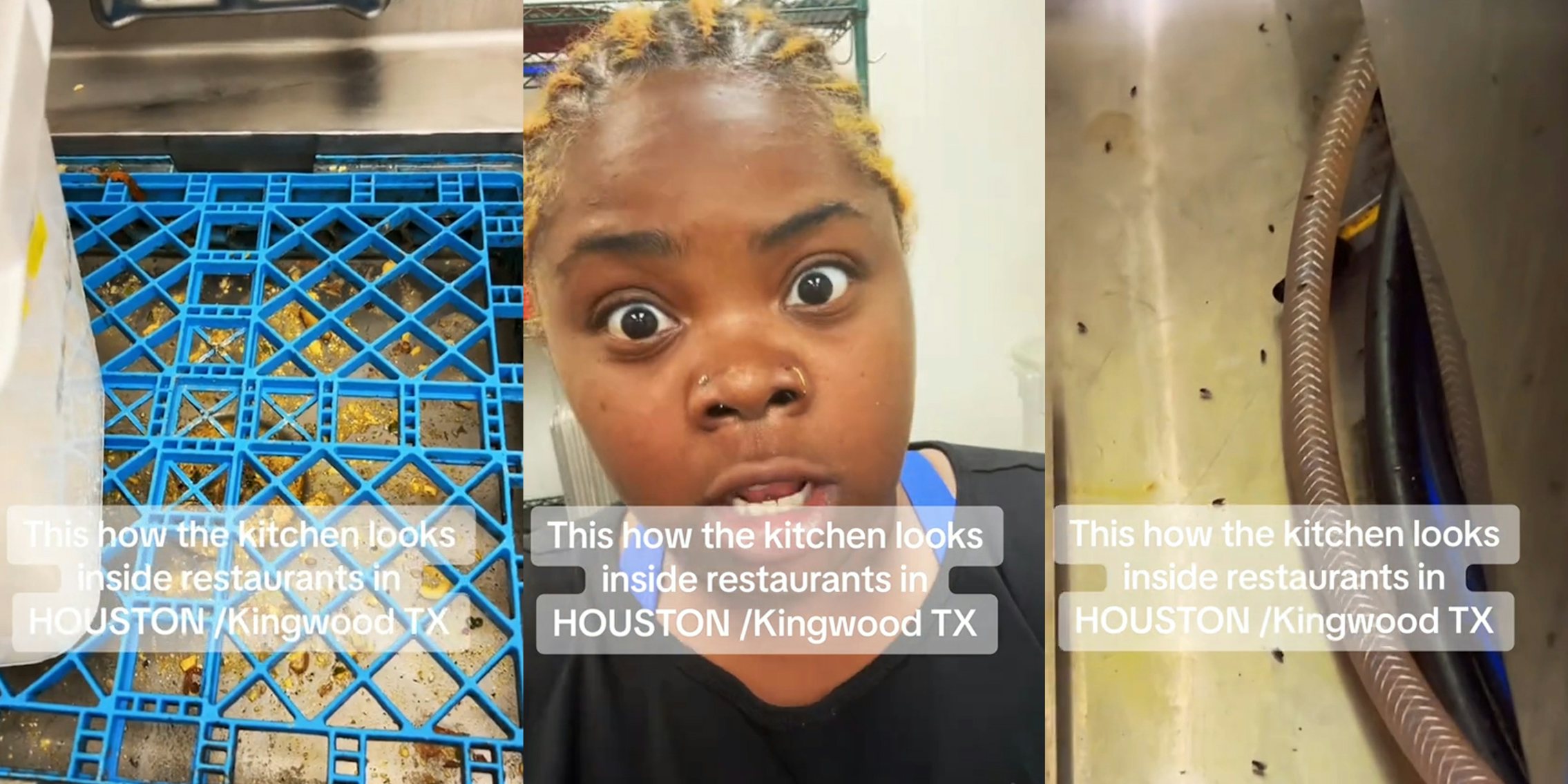 kitchen sink with caption 'This how the kitchen looks inside restaurants in HOUSTON/Kingwood TX' (l) restaurant worker with caption 'This how the kitchen looks inside restaurants in HOUSTON/Kingwood TX' (c) flies in kitchen with caption 'This how the kitchen looks inside restaurants in HOUSTON/Kingwood TX' (r)