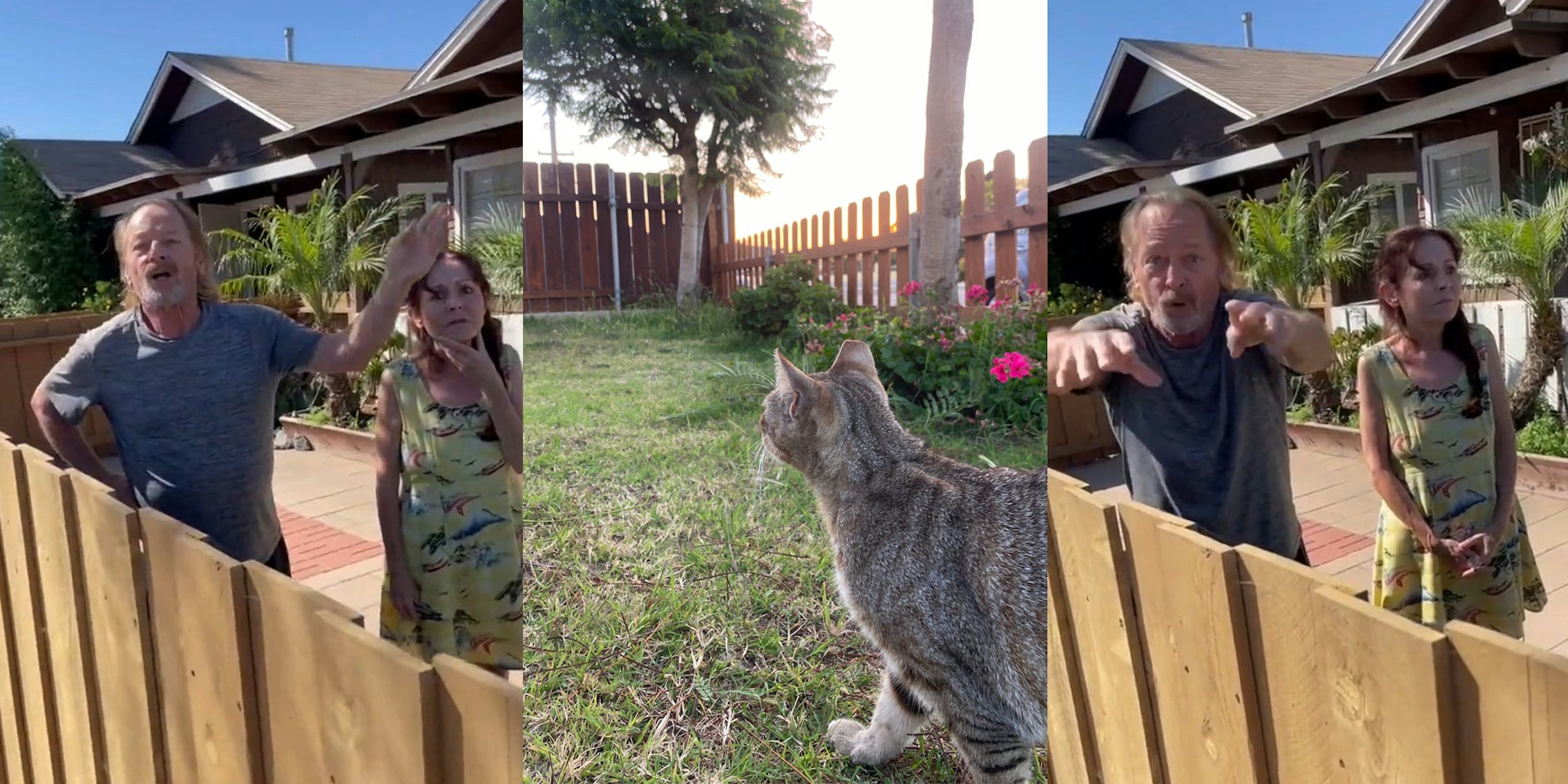 neighbors speaking at fence (l) cat in fenced yard (c) neighbors speaking at fence (r)