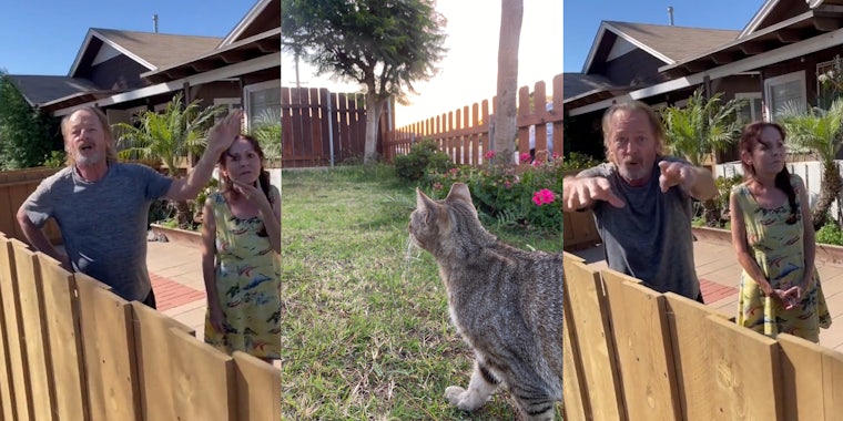 neighbors speaking at fence (l) cat in fenced yard (c) neighbors speaking at fence (r)