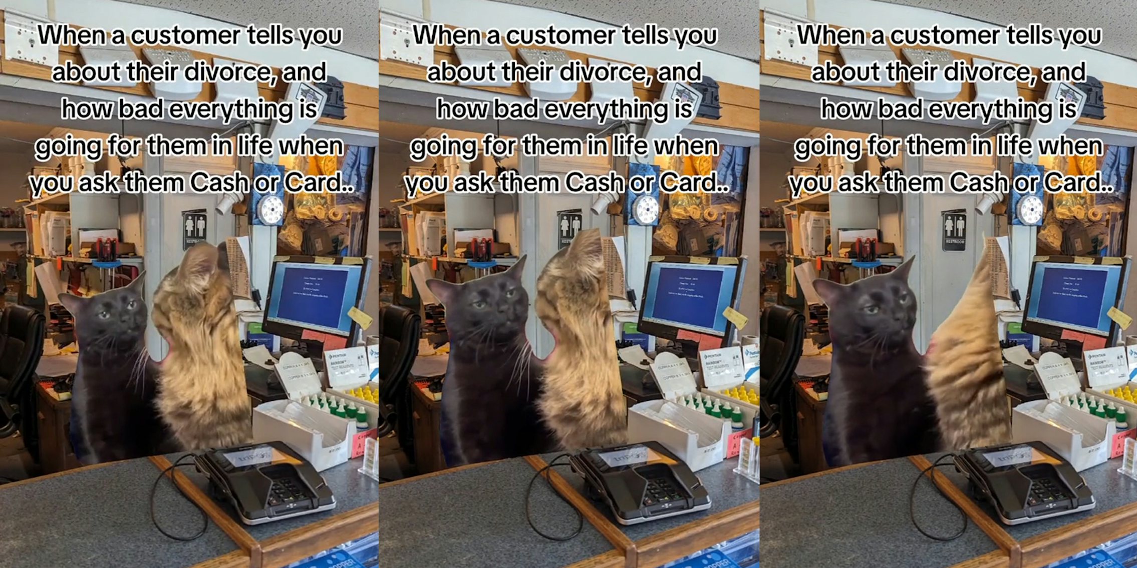 cat meme greenscreen TikTok over image of checkout with caption 'When a customer tells you about their divorce, and how bad everything is going for them in life when you ask them Cash or Card...' (l) cat meme greenscreen TikTok over image of checkout with caption 'When a customer tells you about their divorce, and how bad everything is going for them in life when you ask them Cash or Card...' (c) cat meme greenscreen TikTok over image of checkout with caption 'When a customer tells you about their divorce, and how bad everything is going for them in life when you ask them Cash or Card...' (r)