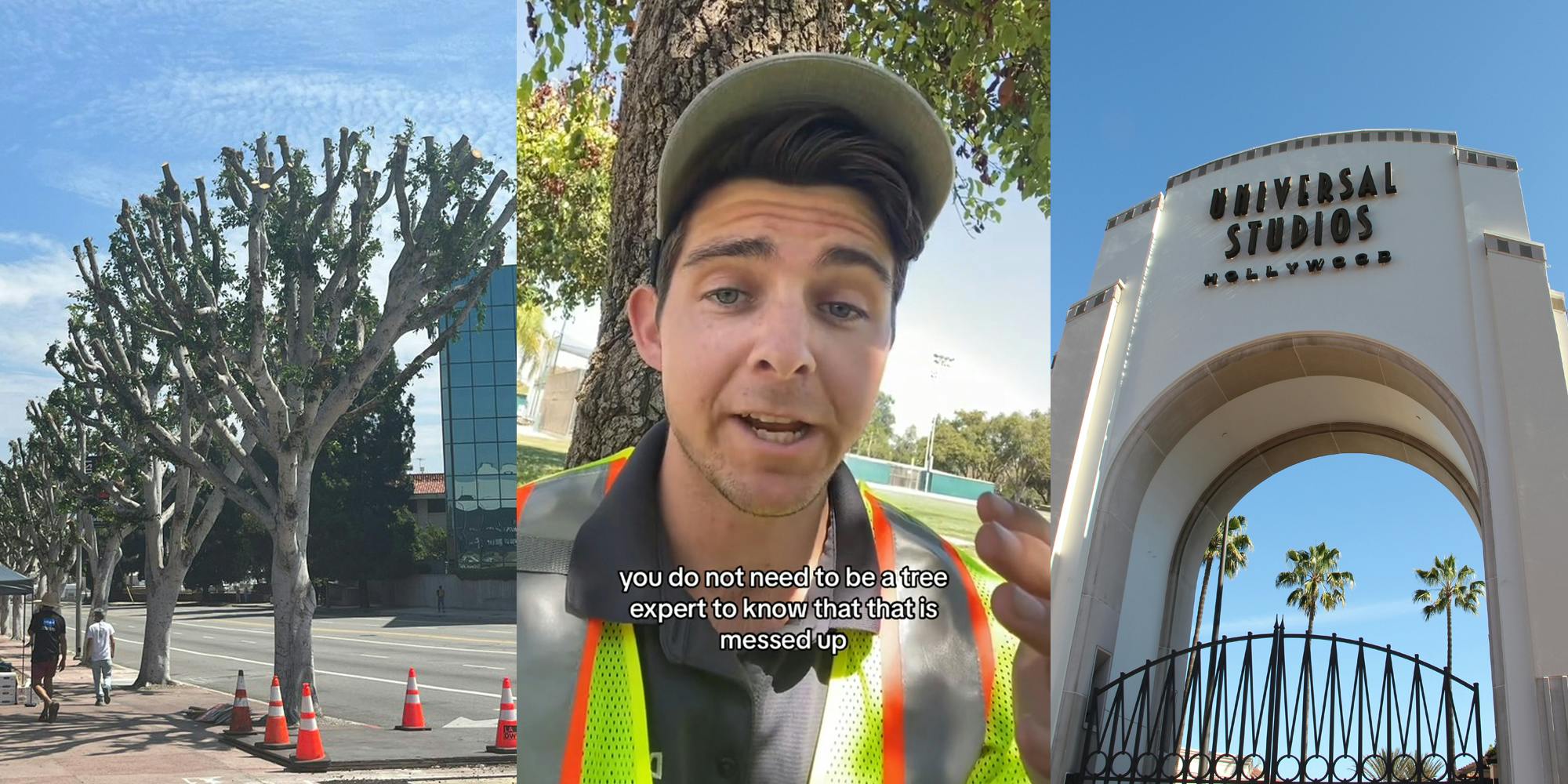 cut trees near sidewalk in LA (l) man speaking in front of tree with caption "you do not need to be a tree expert to know that that is messed up" (c) Universal Studios archway with sign and gate (r)