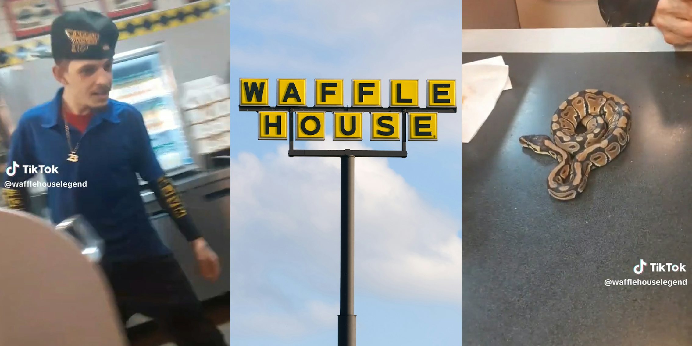 waffle house worker (l) waffle house sign (c) snake on table (r)