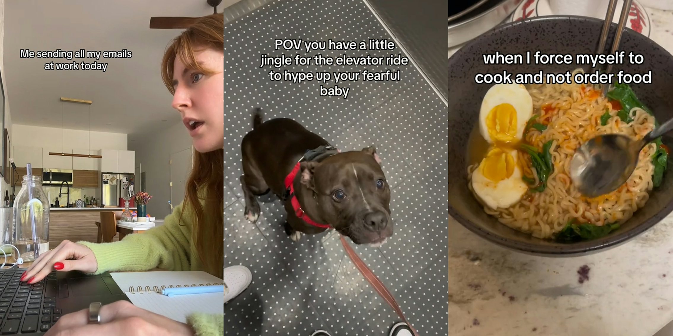 Woman sending out emails; Nervous Dog; Plate of ramen with egg