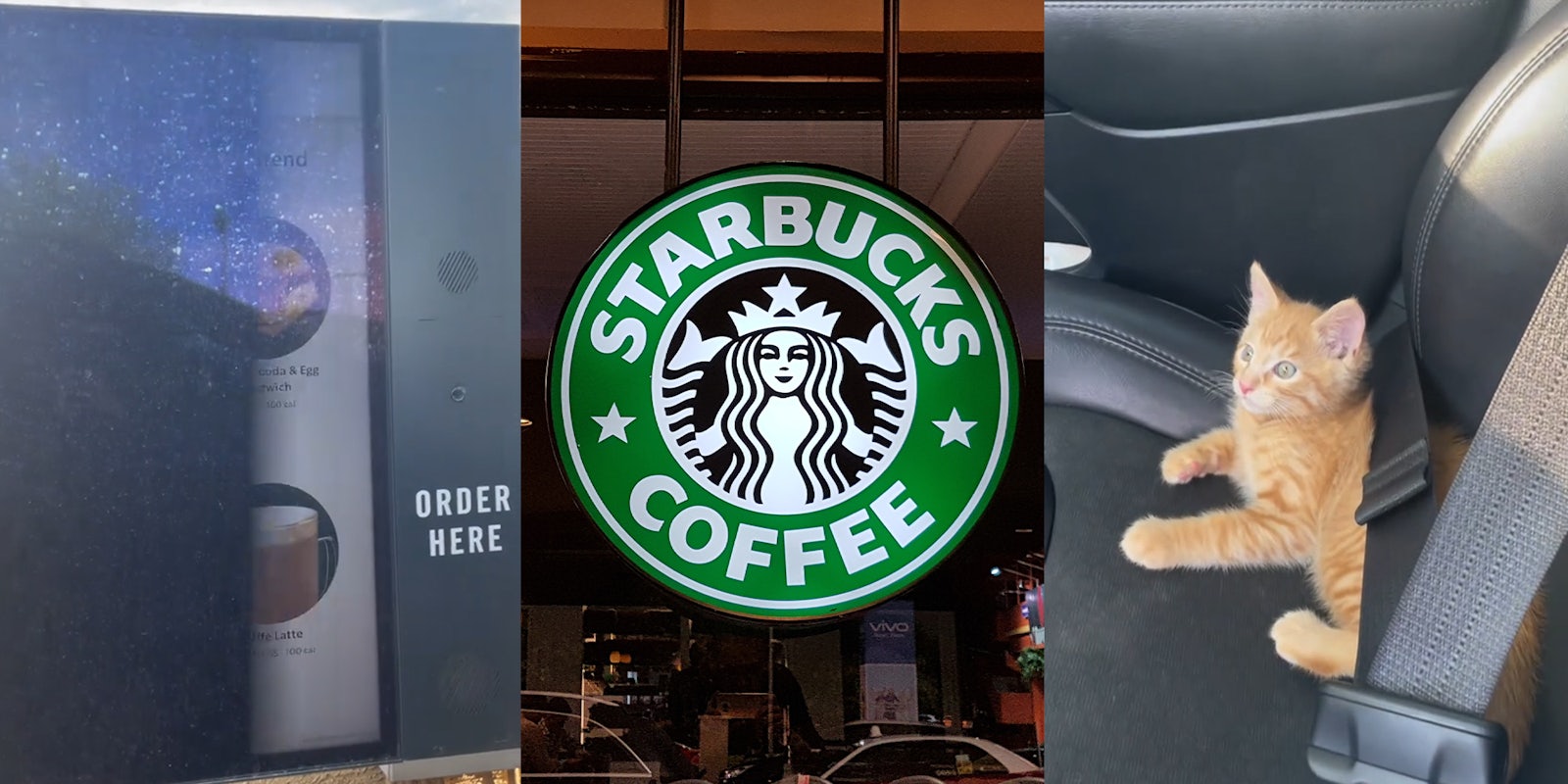 Starbucks customer ordering milk for passenger cat; Starbucks Logo store Front
