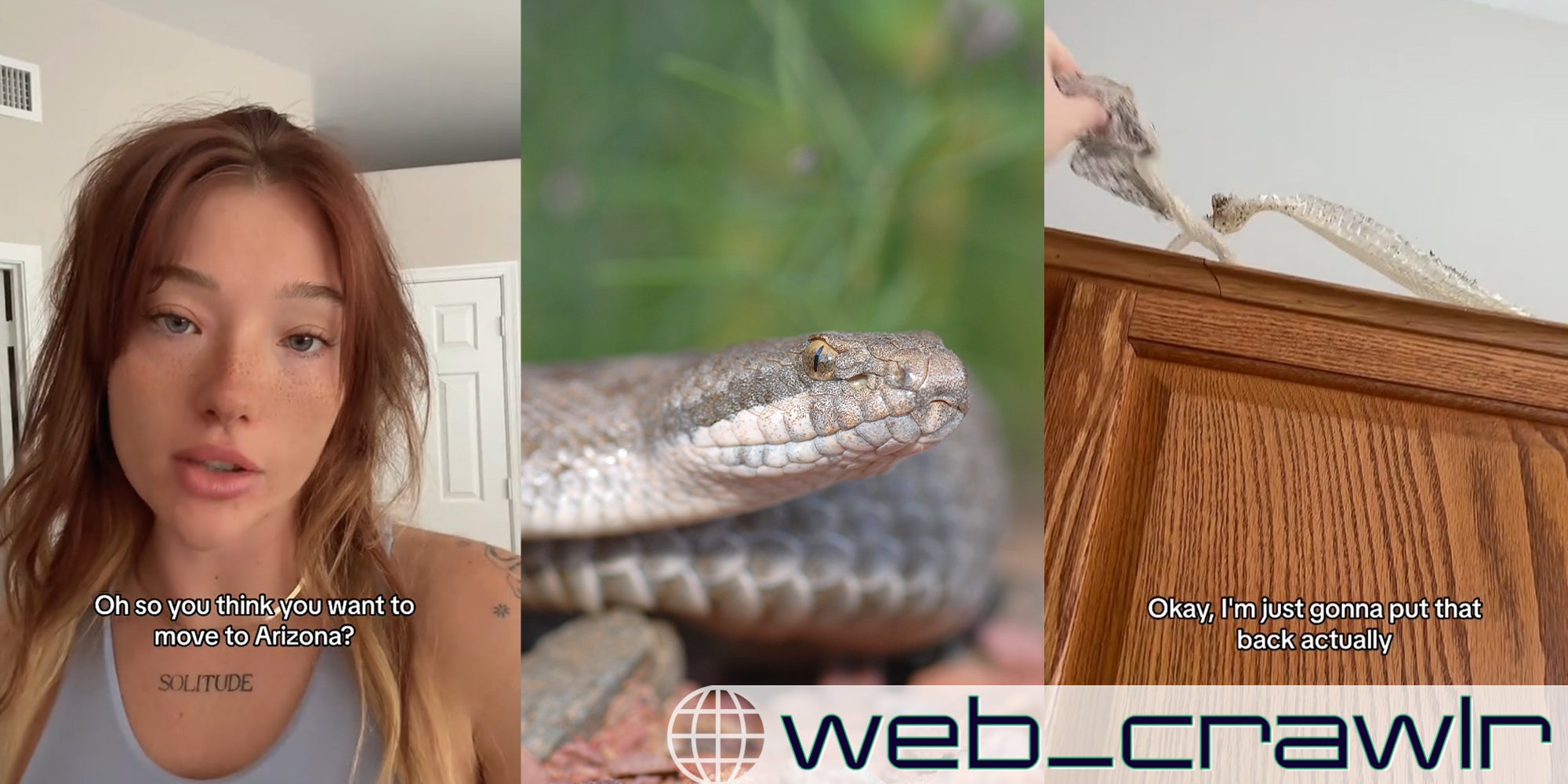 woman pulling out snake skin; Arizona's sky islands is this interesting rattlesnake.