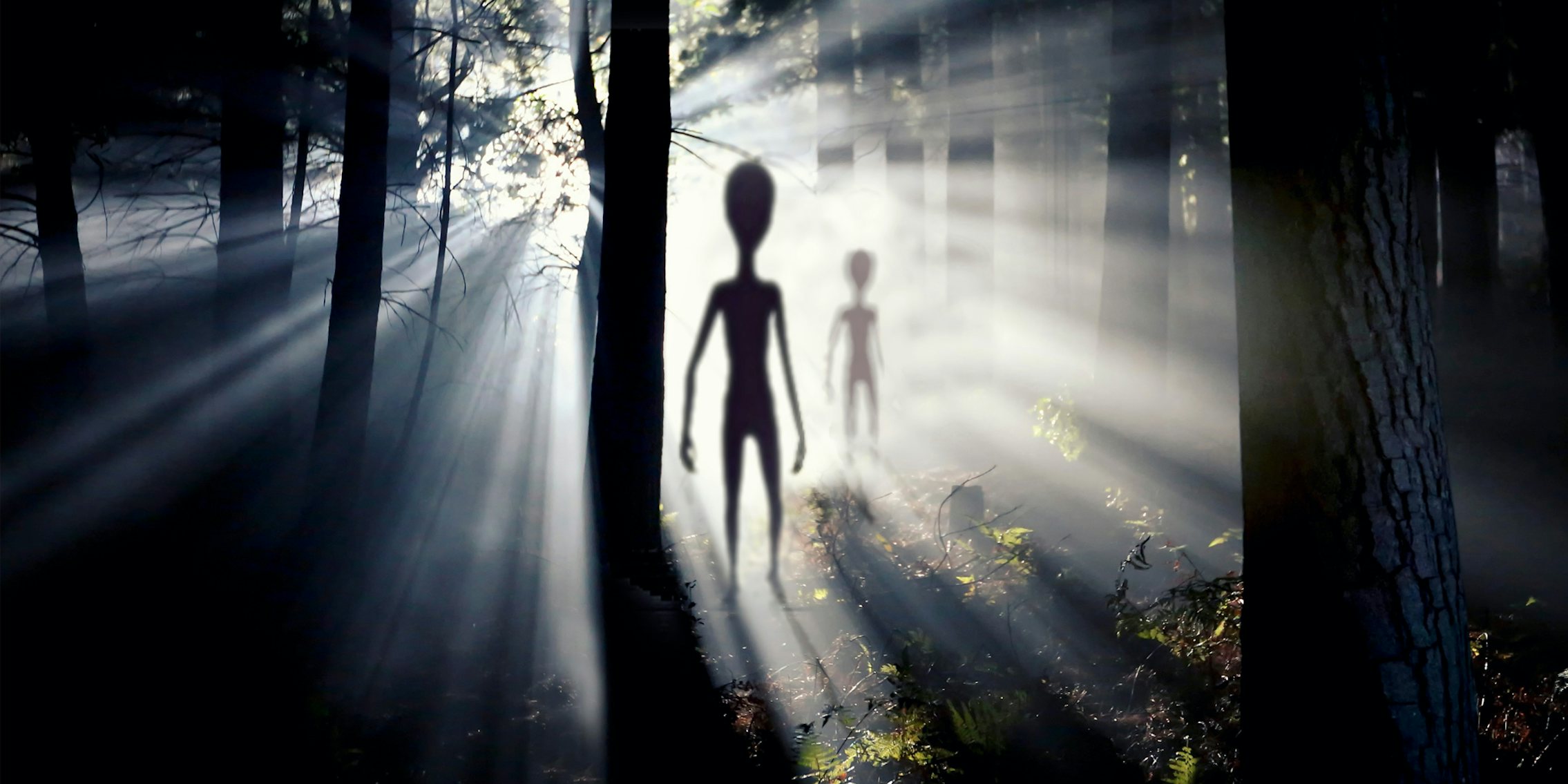 aliens in woods