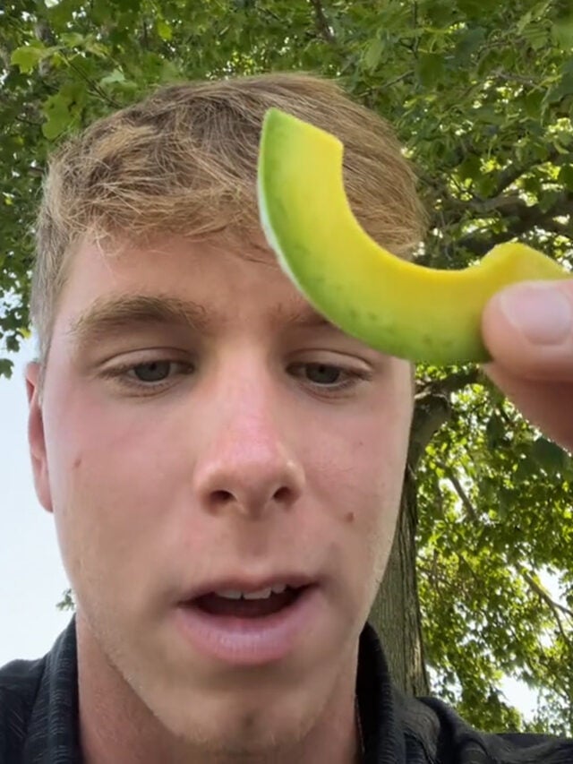Customer’s Avocado on Avocado Toast Comes Extremely Hard