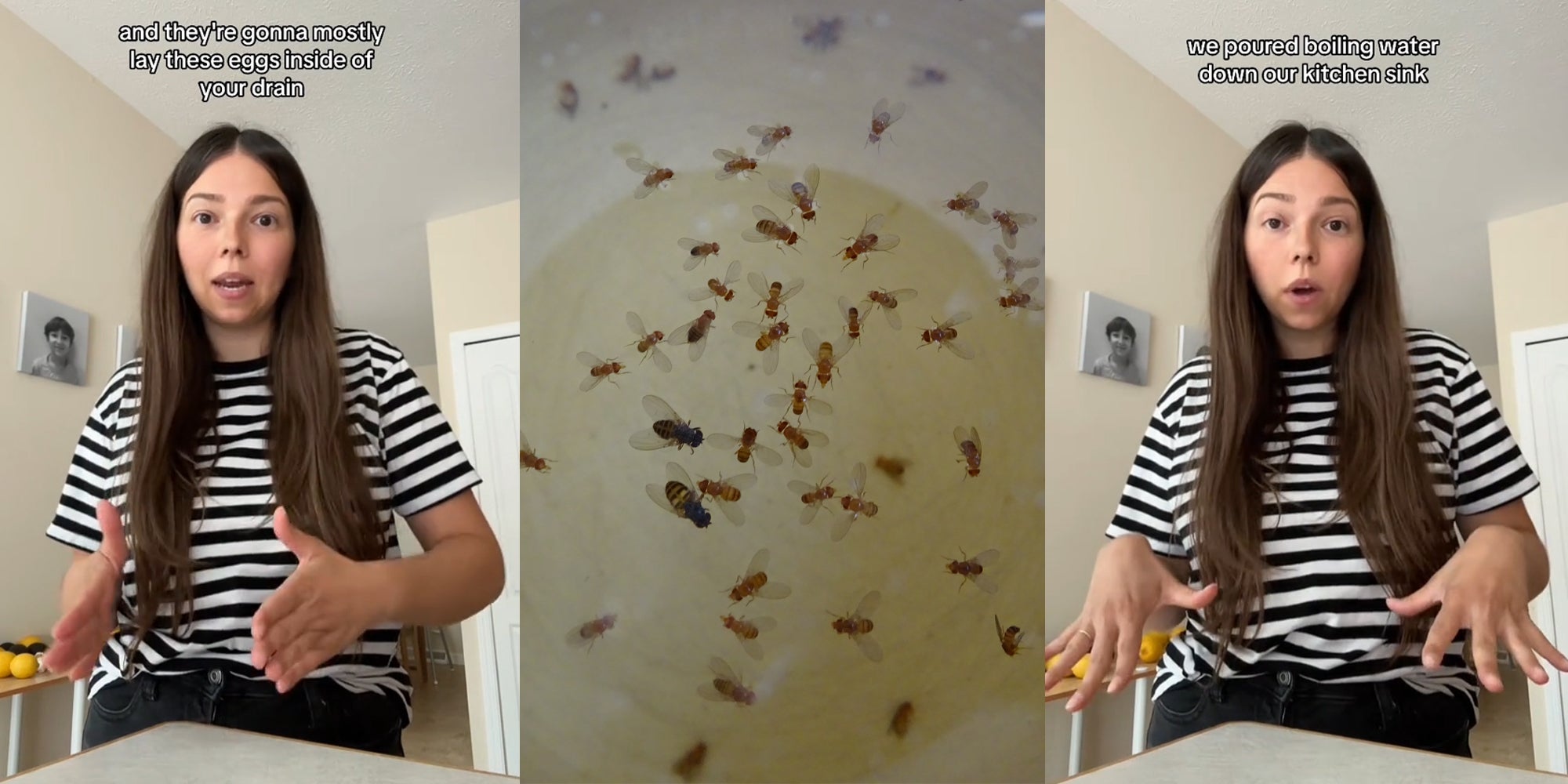 Woman Shares 'Foolproof' Hack for Getting Rid of Fruit Flies