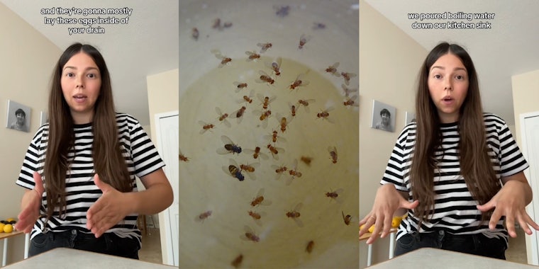 woman speaking with caption 'and they're gonna mostly lay these eggs inside of your drain' (l) fruit flies in water (c) woman speaking with caption 'we poured boiling water down our kitchen sink' (r)
