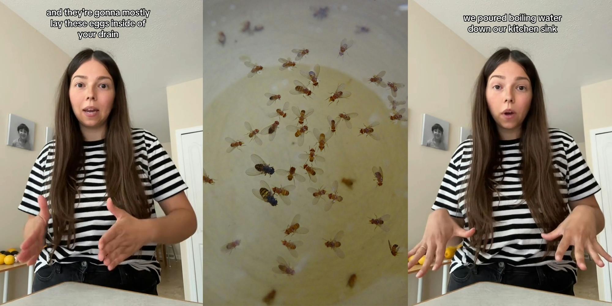 woman speaking with caption "and they're gonna mostly lay these eggs inside of your drain" (l) fruit flies in water (c) woman speaking with caption "we poured boiling water down our kitchen sink" (r)