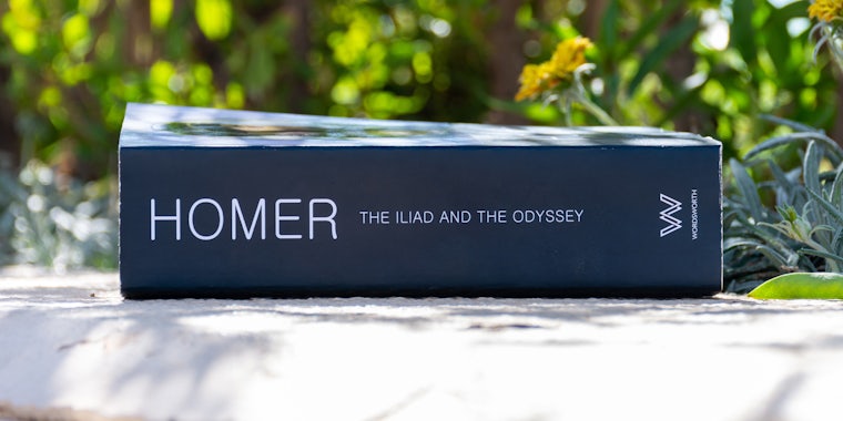 The Iliad and The Odyssey Homer book on concrete outside