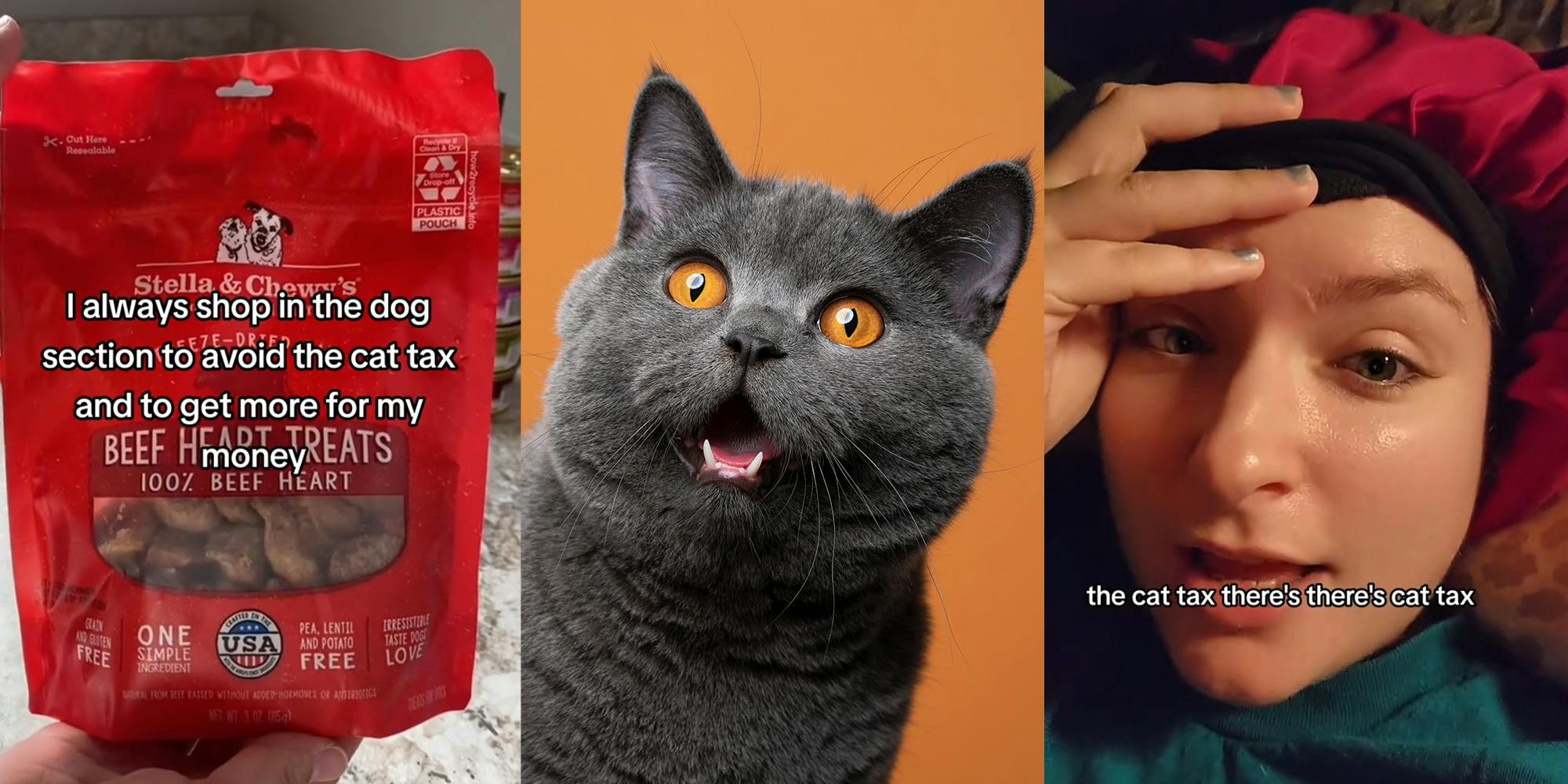 Person Holding Dog Food; Grey Cat looking surprised; woman saying there's cat tax