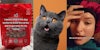 Person Holding Dog Food; Grey Cat looking surprised; woman saying there's cat tax