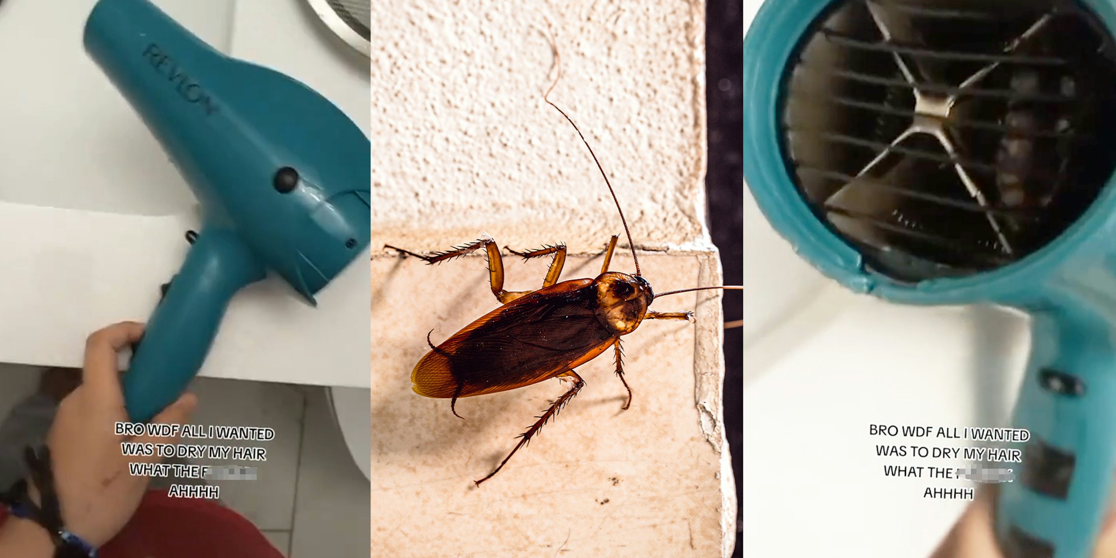 Woman finds cockroach in hair dryer