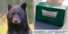 A black bear and a box of Krispy Kreme doughnuts. The Daily Dot newsletter web_crawlr logo is in the bottom right corner.