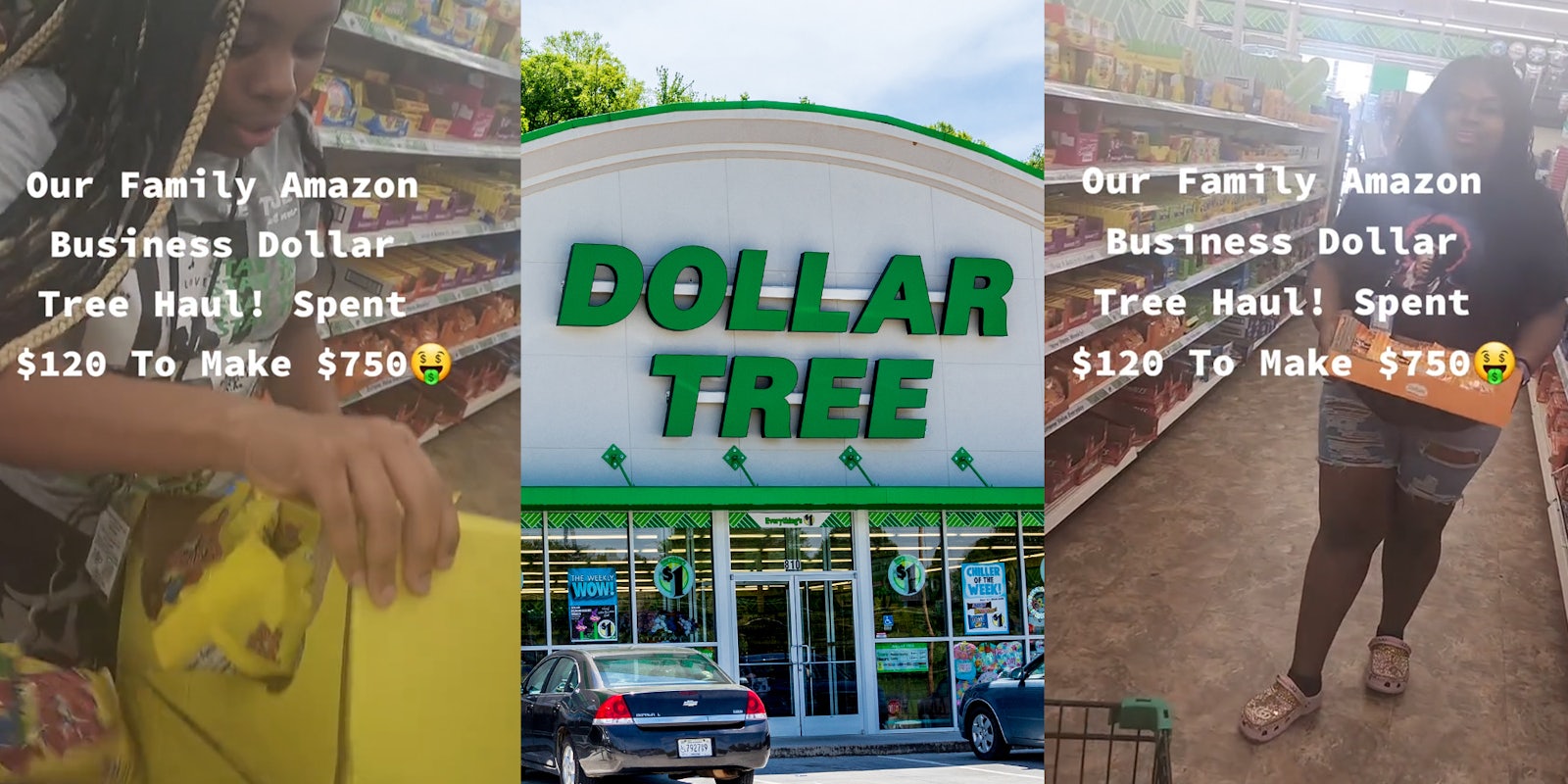 Amazon sellers spend buy items at Dollar Tree to resell on Amazon