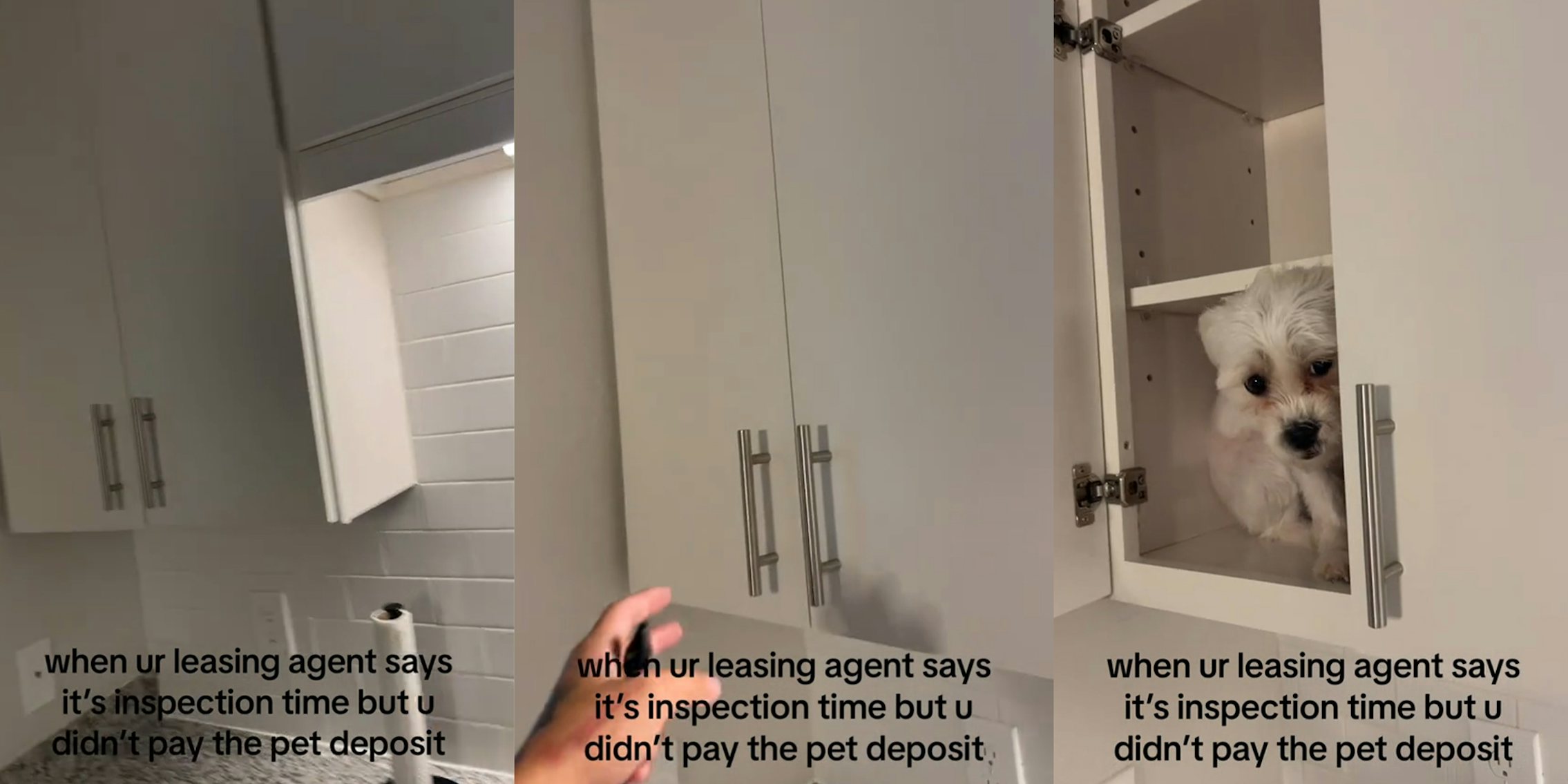 Renter has to hide pet during inspection after not paying pet deposit