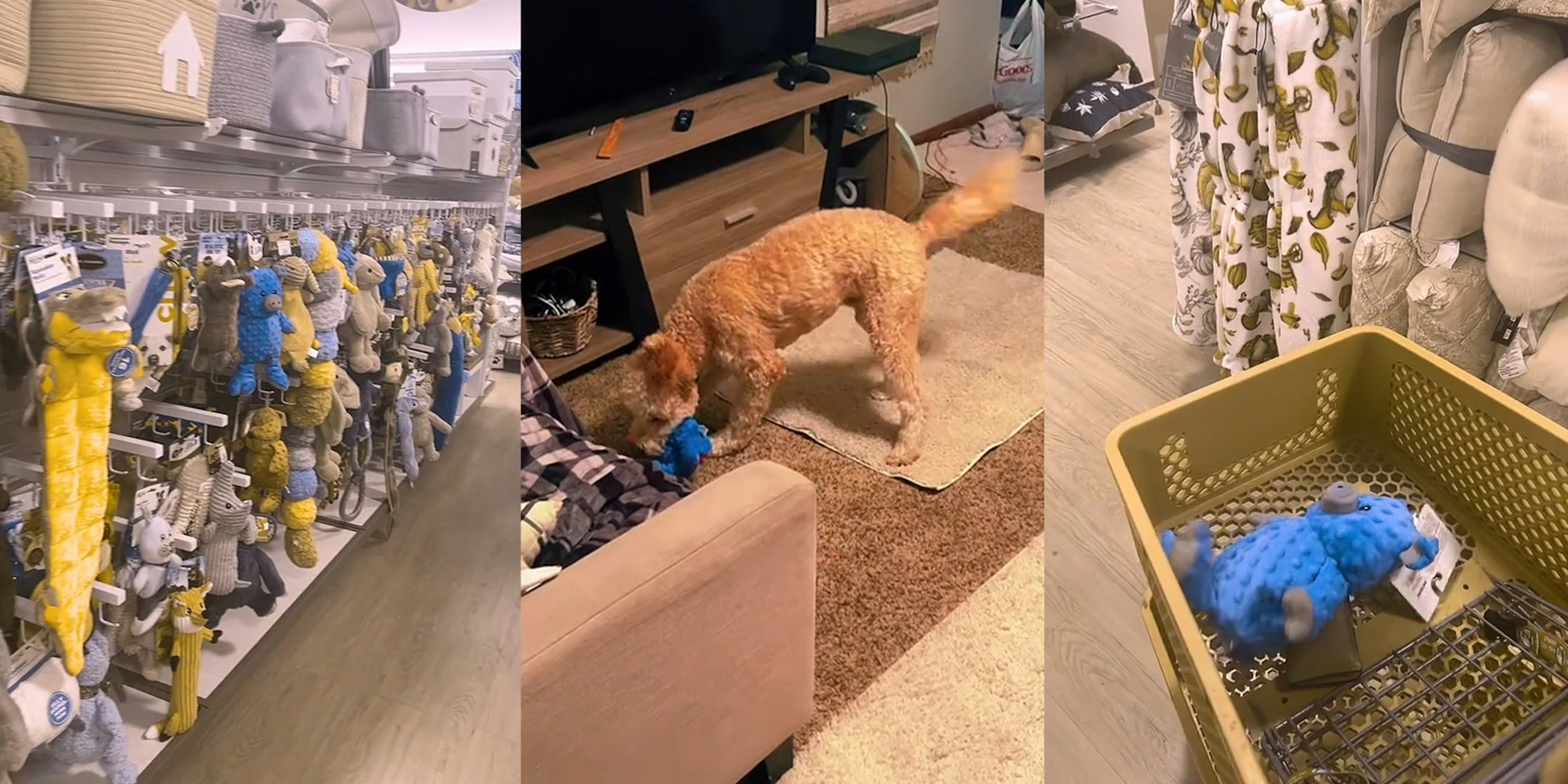 Pet owner uses dog vision filter to pick out toy for dog from HomeGoods