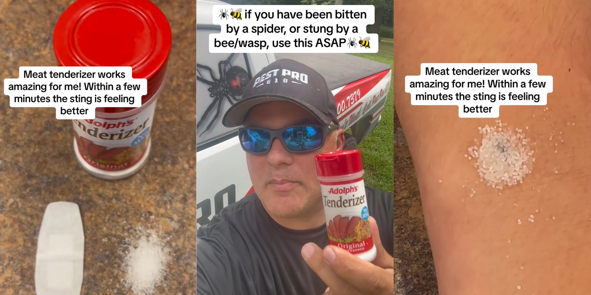 A Pest Pro Explains How to Use Meat Tenderizer for Insect Bites