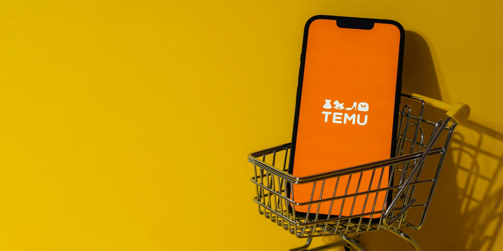 temu shopping cart image to illustrate why is temu so cheap explainer