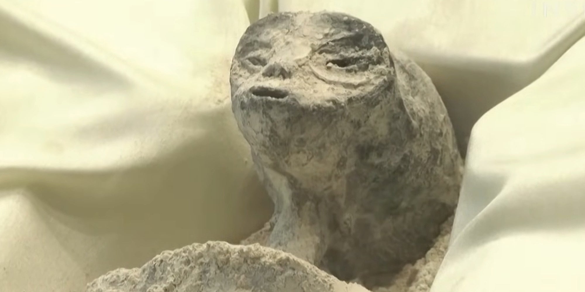 'Alien Mummy' on fabric