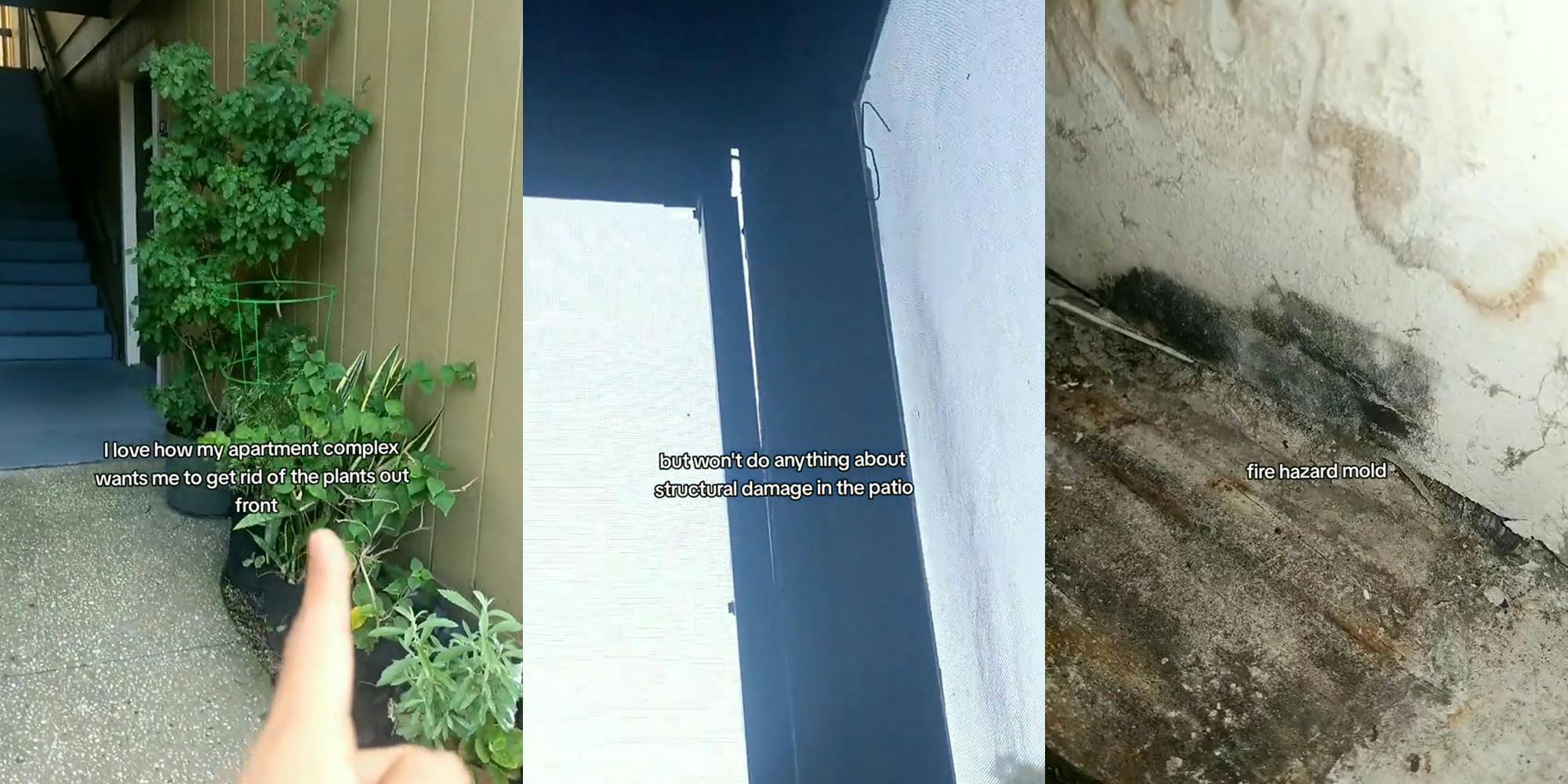 tenant pointing to outdoor plants with caption "I love how my apartment complex wants me to get rid of the plants out front" (l)apartment patio damage with caption "but won't do anything about structural damage to the patio" (c) mold with caption "fire hazard mold" (r)