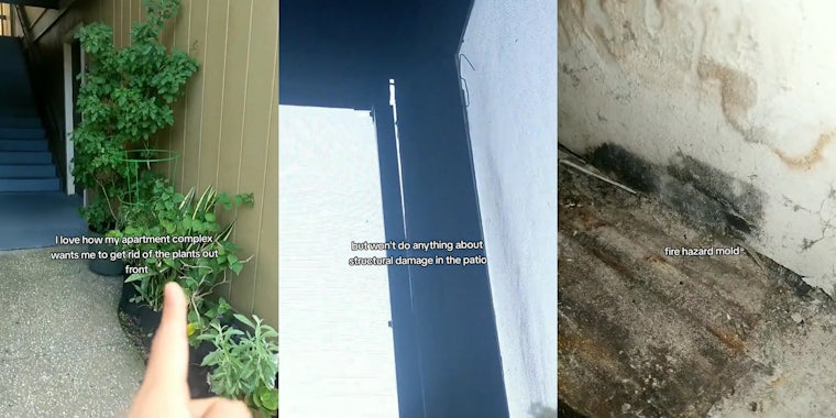 tenant pointing to outdoor plants with caption 'I love how my apartment complex wants me to get rid of the plants out front' (l)apartment patio damage with caption 'but won't do anything about structural damage to the patio' (c) mold with caption 'fire hazard mold' (r)