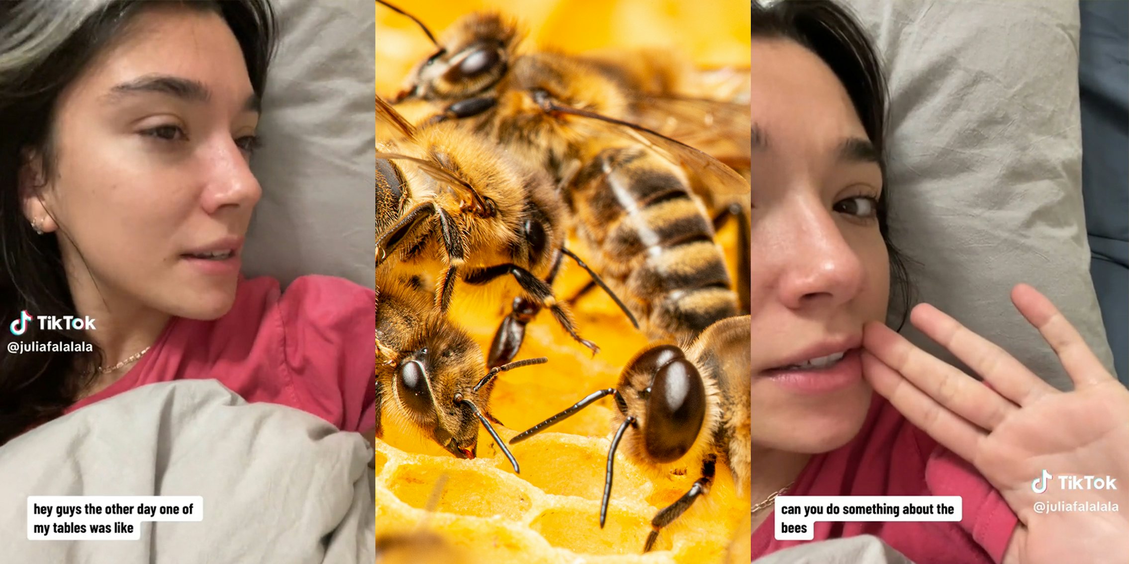 young woman in bed (l&r) bees (c)