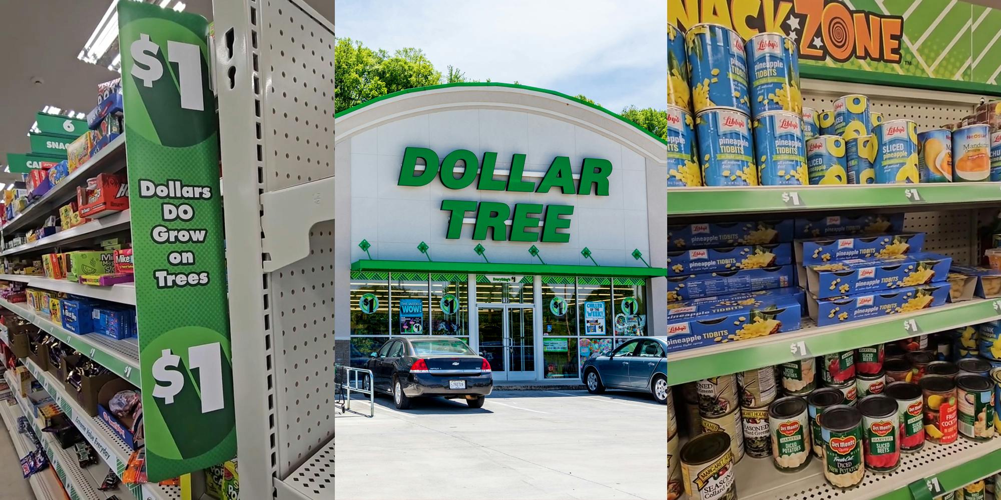 Shopper Shows What Dollar Tree Items Are Back Down to 1
