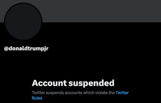 A screenshot of Trump Jr. X account being suspended. 
