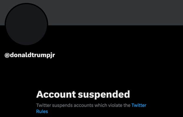 A screenshot of Trump Jr. X account being suspended.