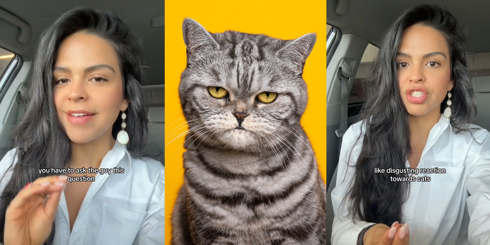 Two screenshots of a person talking to the camera. In the middle is a cat. 