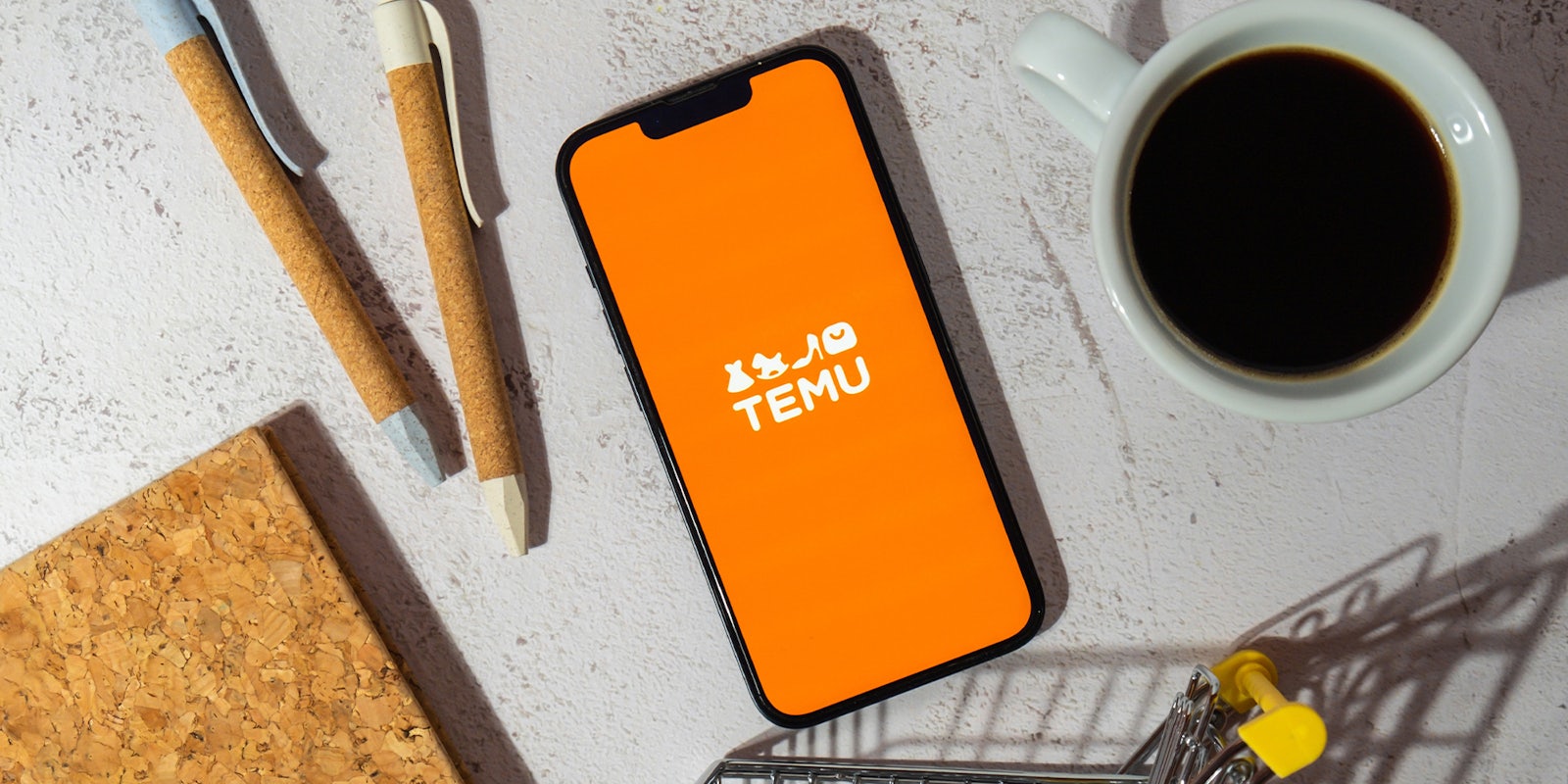 Temu Logo on iPhone to illustrate story on is temu safe