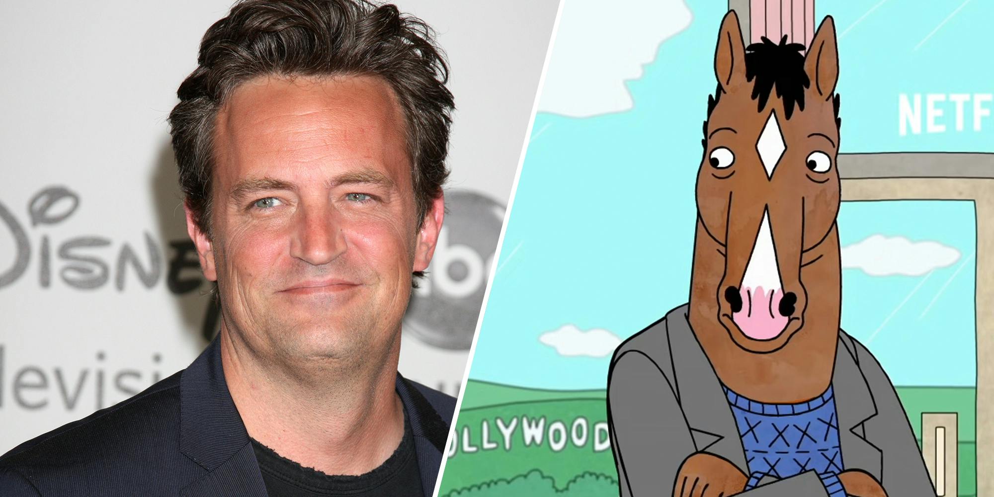 Mathew Perry and Bojack