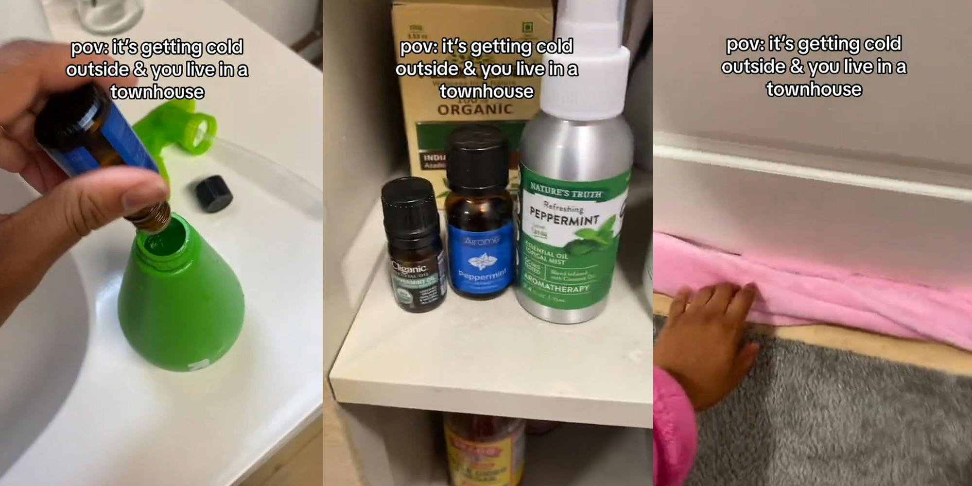 Homeowner shares peppermint oil mouse repellent hack