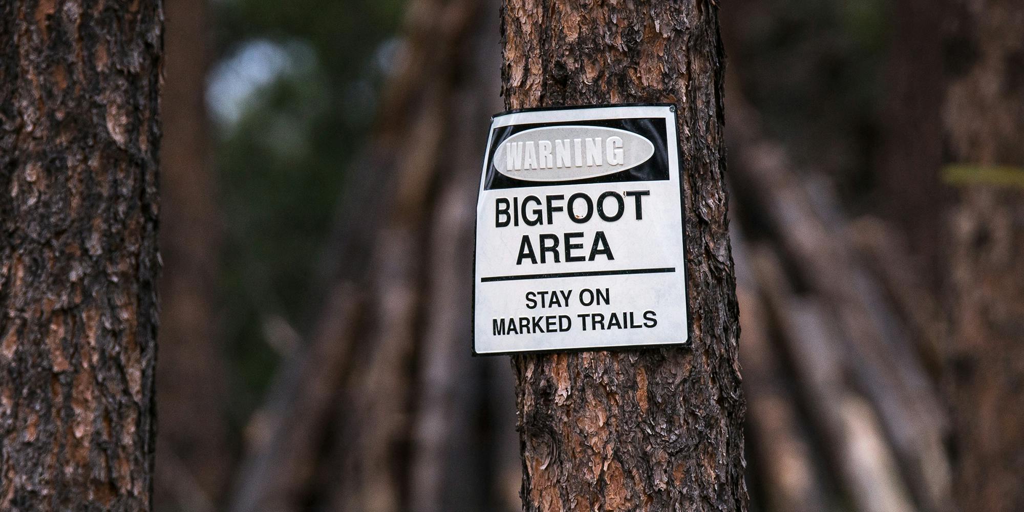 Sign on tree that states "Bigfoot Area. Stay on marked trails"