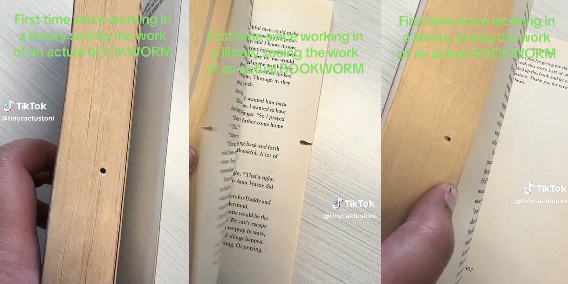 Holes in book from book worm