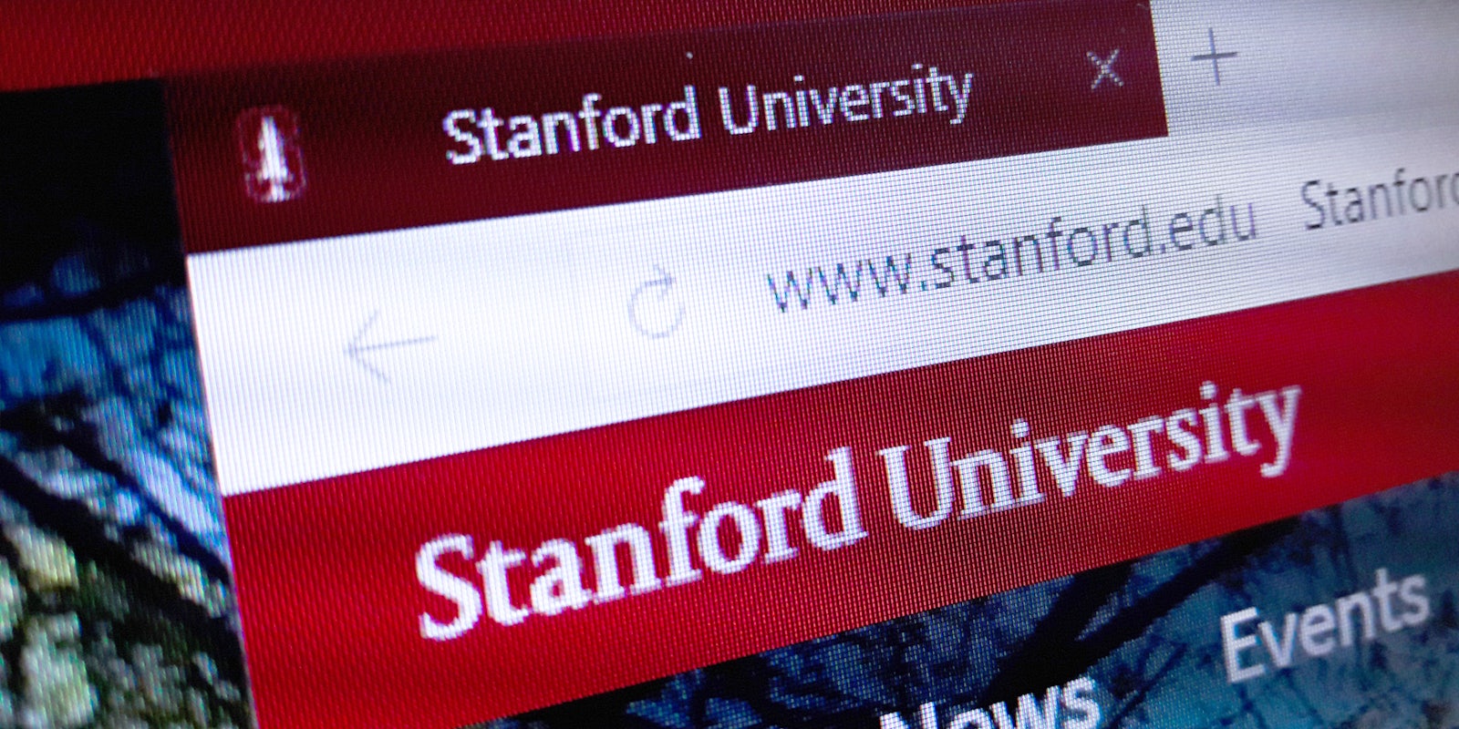 Stanford University Website