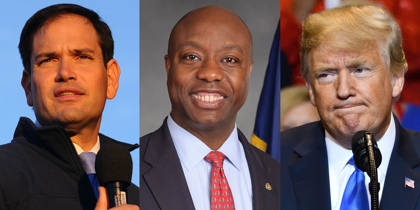 Conservatives Call to Deport Hamas Protestors