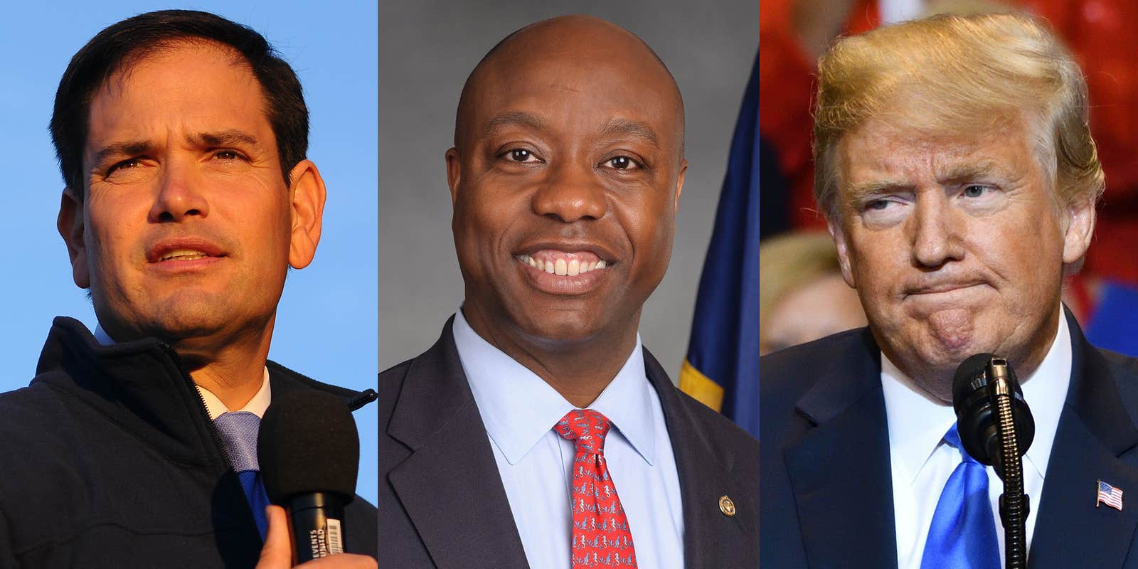 Marco Rubio(r), Tim Scott(c), Donald Trump(r)